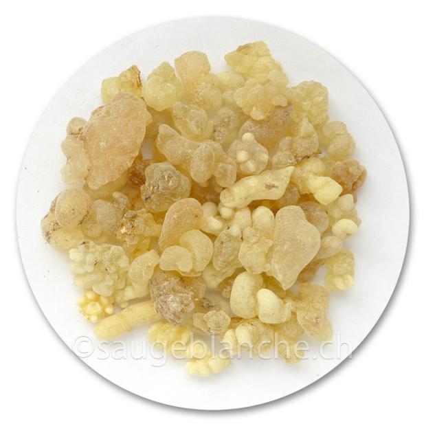 Frankincense Superior